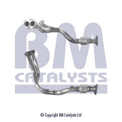 BM70210 BM Catalysts