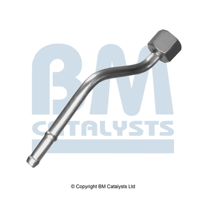 PP11151A BM Catalysts