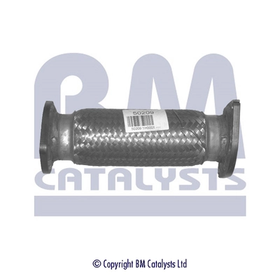 BM50209 BM Catalysts