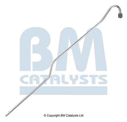 PP11028A BM Catalysts