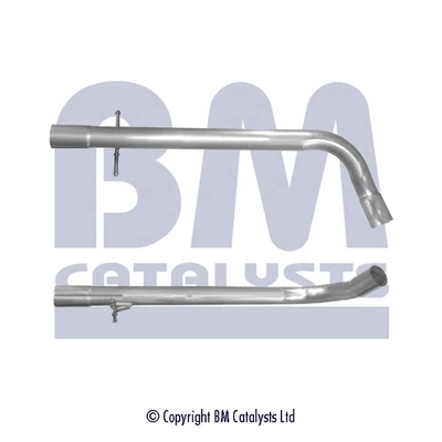 BM50253 BM Catalysts