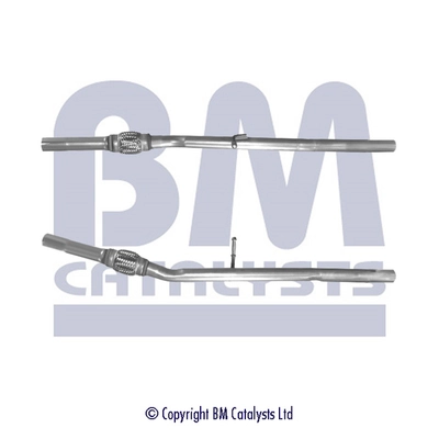 BM50321 BM Catalysts