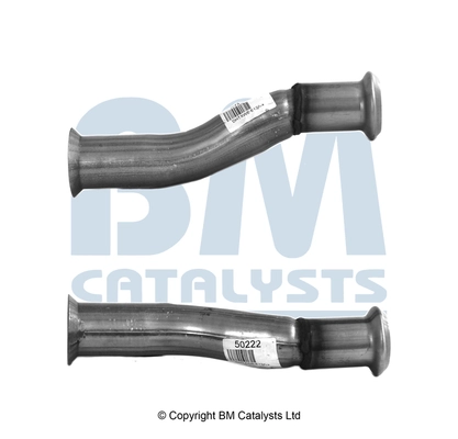 BM50222 BM Catalysts