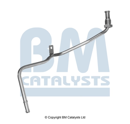PP11005A BM Catalysts