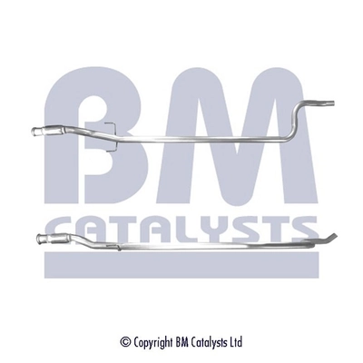 BM50119 BM Catalysts