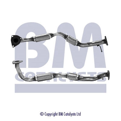 BM70231 BM Catalysts