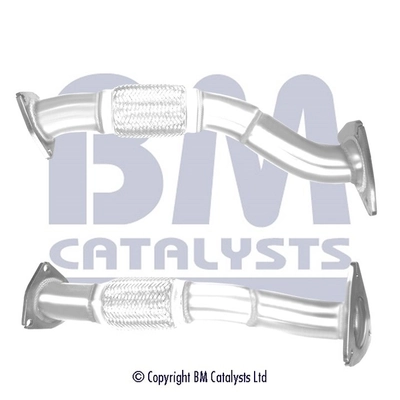 BM50486 BM Catalysts