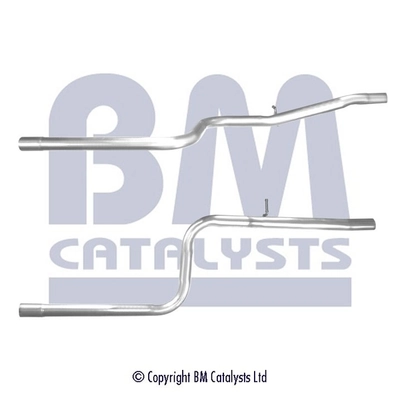 BM50482 BM Catalysts