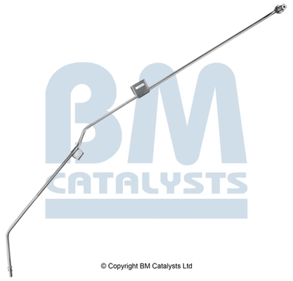 PP11011A BM Catalysts