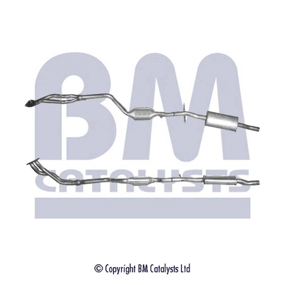 BM90817H BM Catalysts