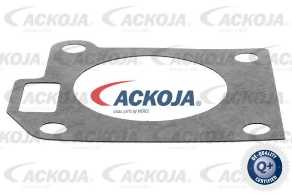 Cuerpo de aceleración completo Ackojap A53810006 precio, desde 56,63 EUR