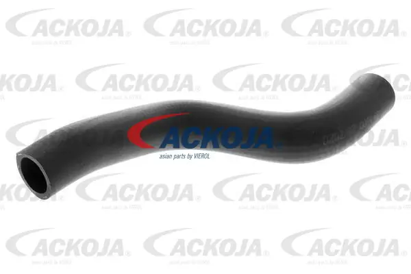 A381600 Ackojap
