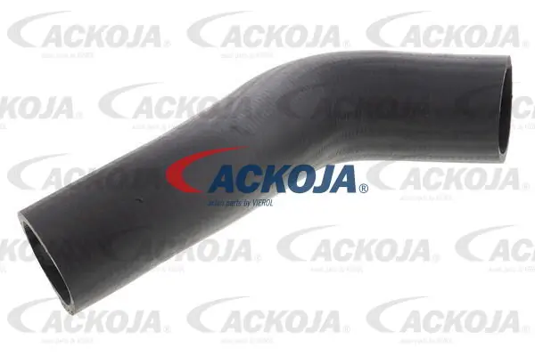 A529601 Ackojap