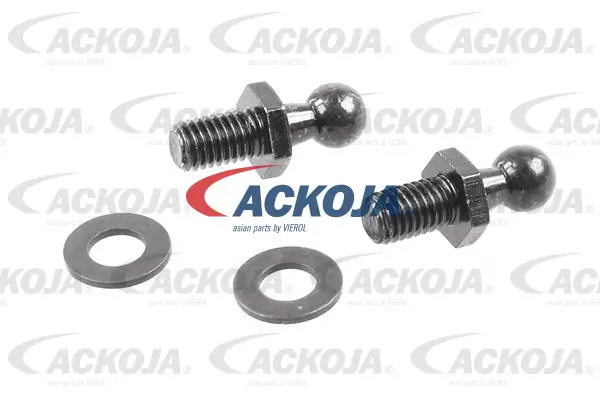 A520062 Ackojap Amortiguador de porton