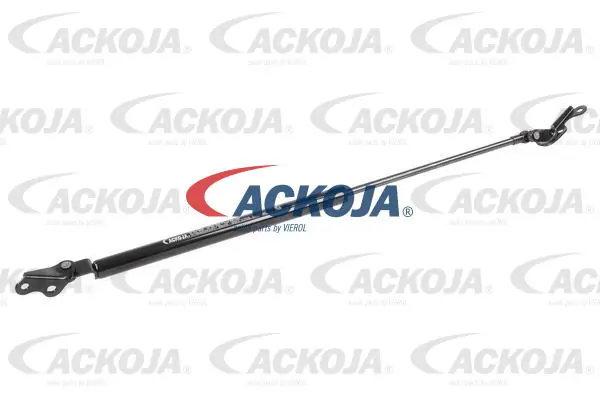 A700311 Ackojap