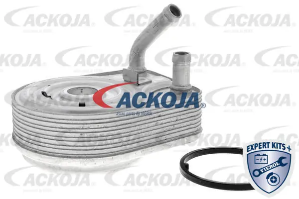 A52600008 Ackojap