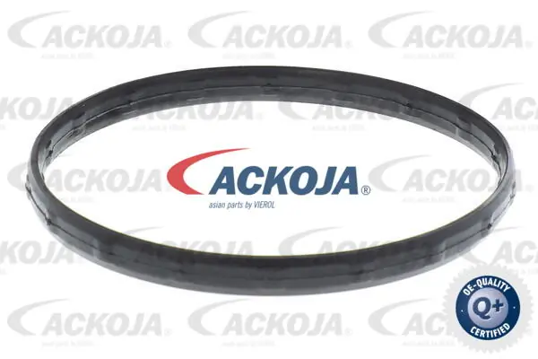 A26990012 Ackojap Termostato de agua