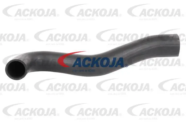 A379603 Ackojap