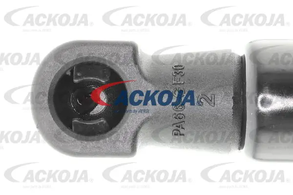 Comprar A520095 Ackojap Amortiguador de puerta trasera