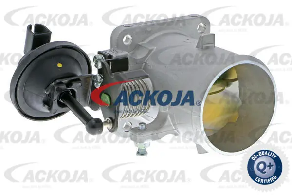 Comprar Cuerpo de mariposa KIA Rio II JB