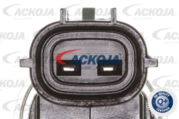 Válvula control, ajuste de levas para Hyundai Sonata V NF