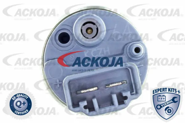 A52090013 Ackojap Módulo de alimentación de combustible