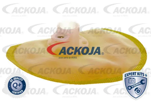 Módulo alimentación de combustible  Ackojap A52090013 precio, desde 48,63 EUR