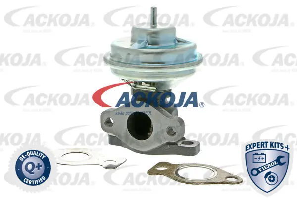 Comprar Válvula EGR de recirculación de gases Hyundai Santa Fe I SM a bajo precio