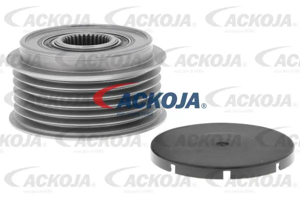 Polea libre del alternador Hyundai Tucson  (TM)