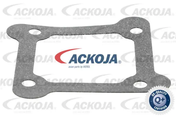 Cuerpo de aceleración completo Ackojap A52810007 precio, desde 60,98 EUR