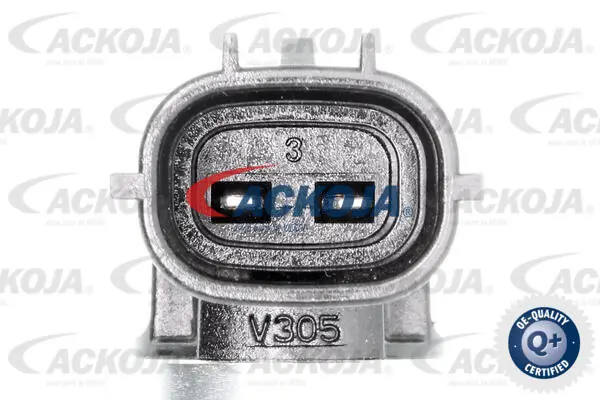 A320243 Ackojap Válvula control, ajuste de levas