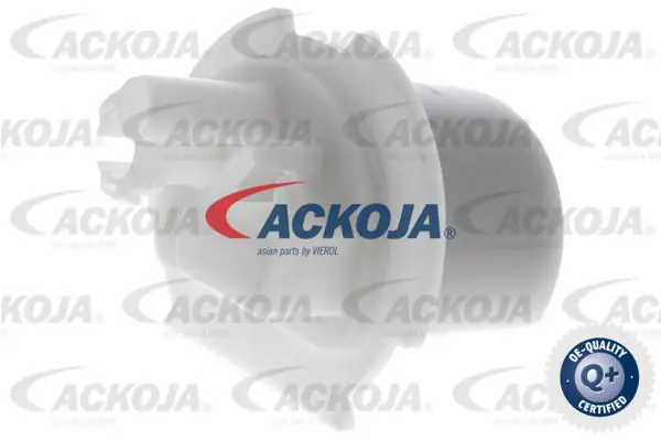 A530303 Ackojap