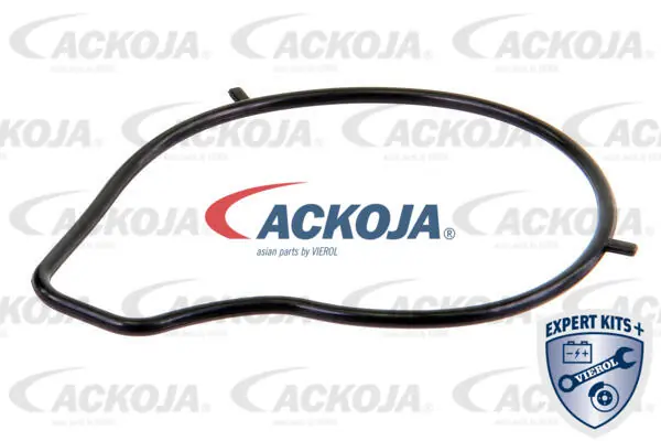 A3250011 Ackojap Bomba refrigerante coche