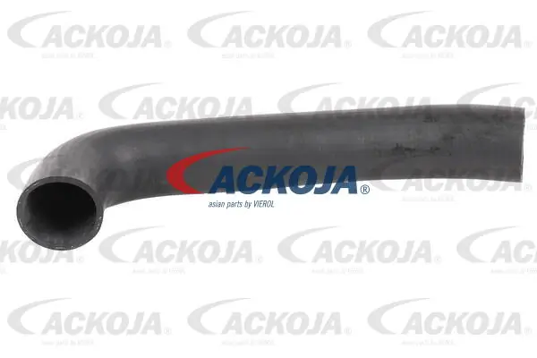 A379602 Ackojap