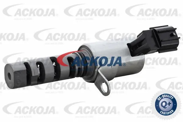Válvula control, ajuste de levas Toyota Yaris  (1999-2005)
