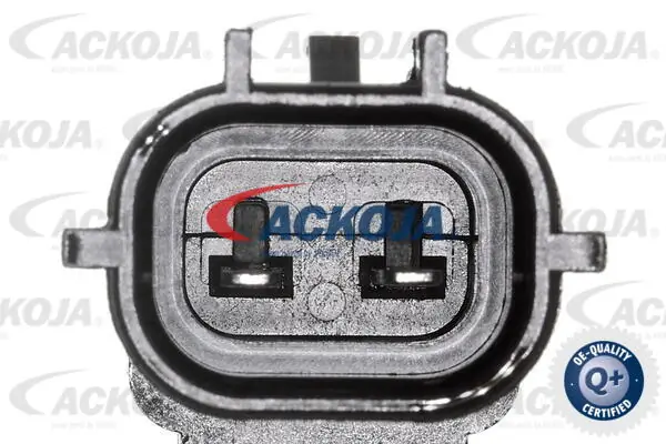 A700356 Ackojap Válvula control, ajuste de levas