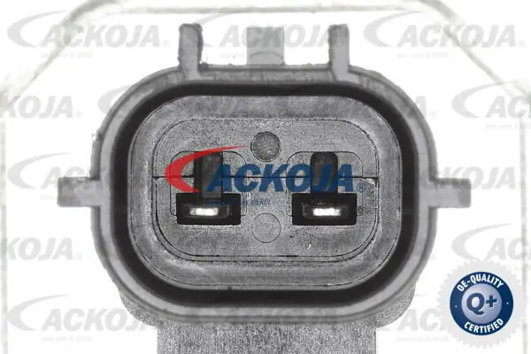 A630021 Ackojap Válvula control, ajuste de levas
