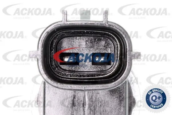 A370152 Ackojap Válvula control, ajuste de levas