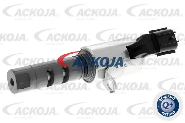 A700347 Ackojap