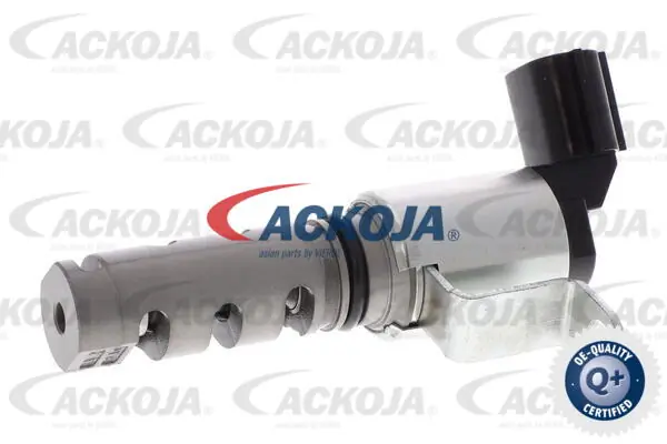 A700355 Ackojap