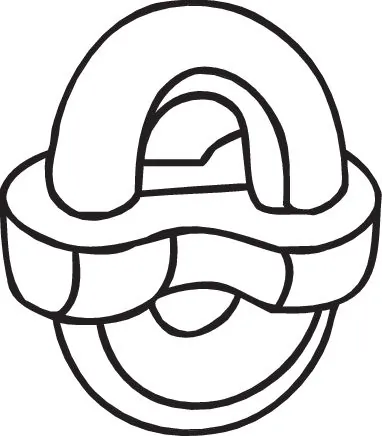 255406 Bosal