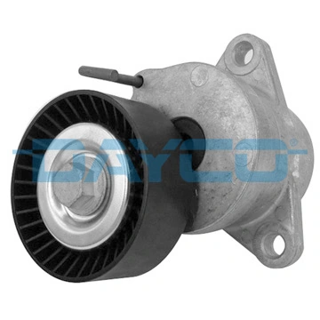 APV2848 Dayco