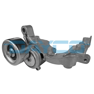 APV3031 Dayco