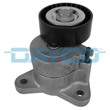 APV2987 Dayco