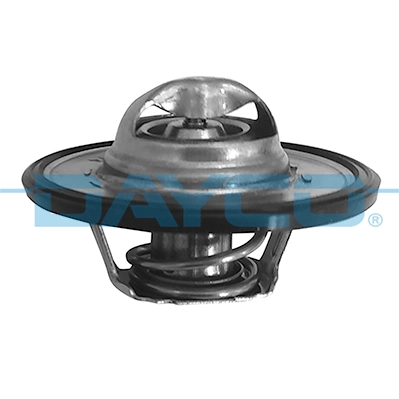 DT1019V Dayco