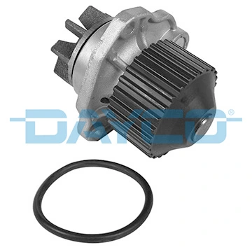 DP193 Dayco