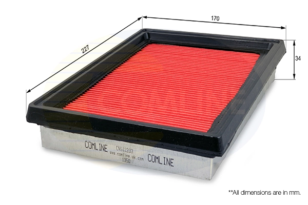 Filtro de aire de motor Nissan JUKE  (2010-2019)