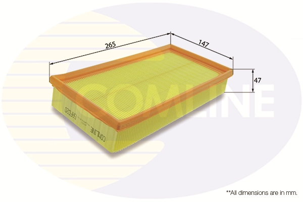 Filtro de aire de motor Ford Connect  (2002-2013)