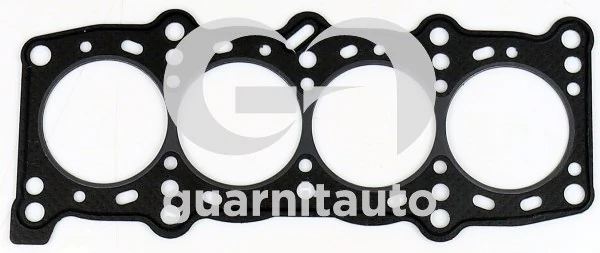 1010251918 Guarnitauto