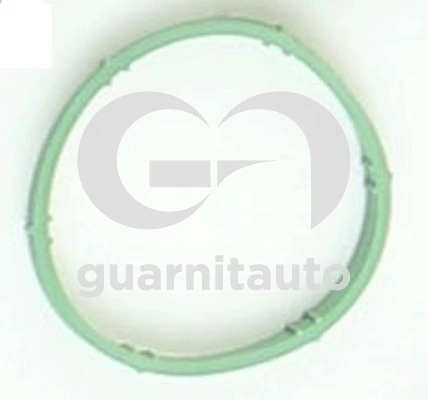 1847638100 Guarnitauto